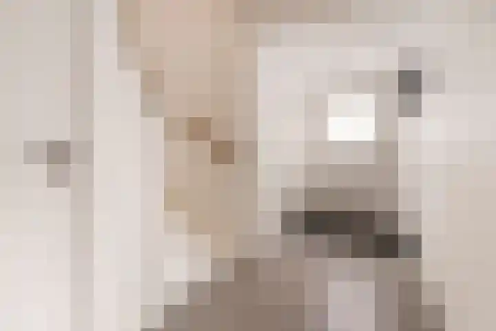 Angsteloord 48 Abcoude thumbnail 19