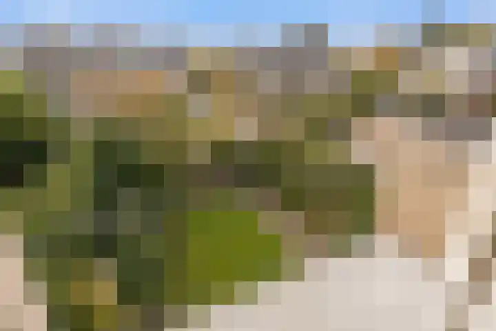 Angsteloord 48 Abcoude thumbnail 23