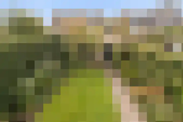 Angsteloord 48 Abcoude thumbnail 24