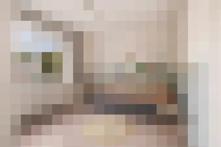 Angsteloord 48 Abcoude thumbnail 26