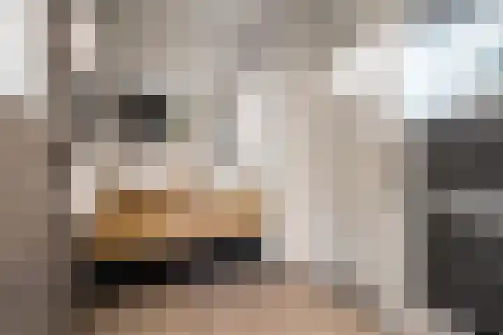 Angsteloord 48 Abcoude thumbnail 32