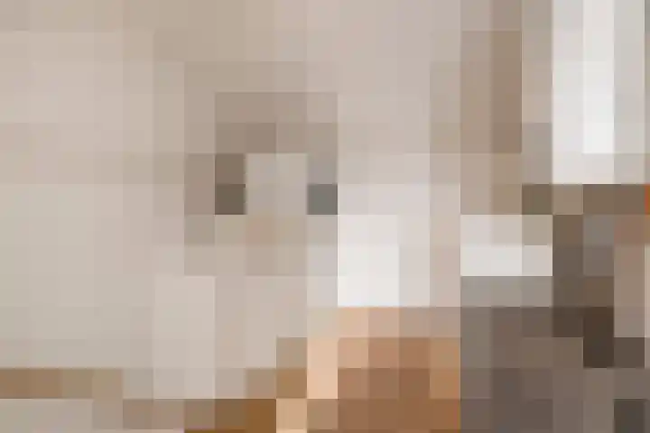 Angsteloord 48 Abcoude thumbnail 33