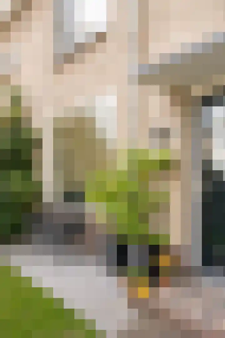 Angsteloord 48 Abcoude thumbnail 39