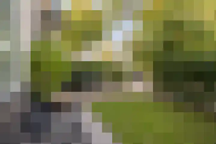 Angsteloord 48 Abcoude thumbnail 40