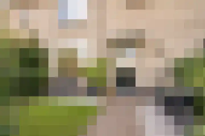 Angsteloord 48 Abcoude thumbnail 41
