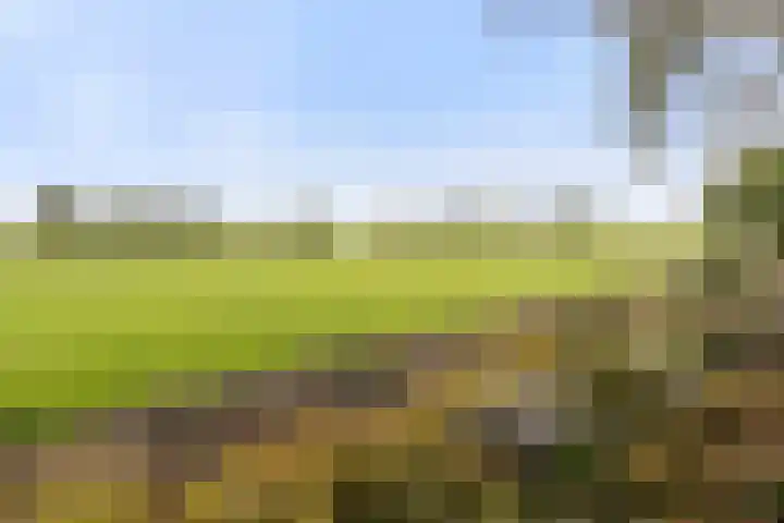 Angsteloord 48 Abcoude thumbnail 42