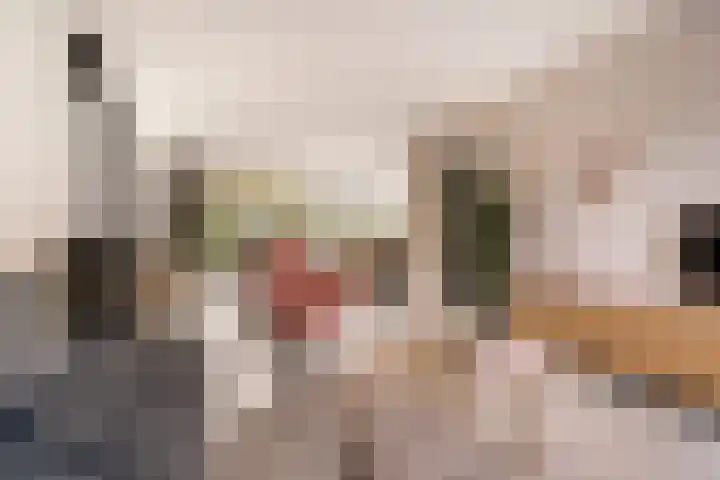 Angsteloord 48 Abcoude thumbnail 5