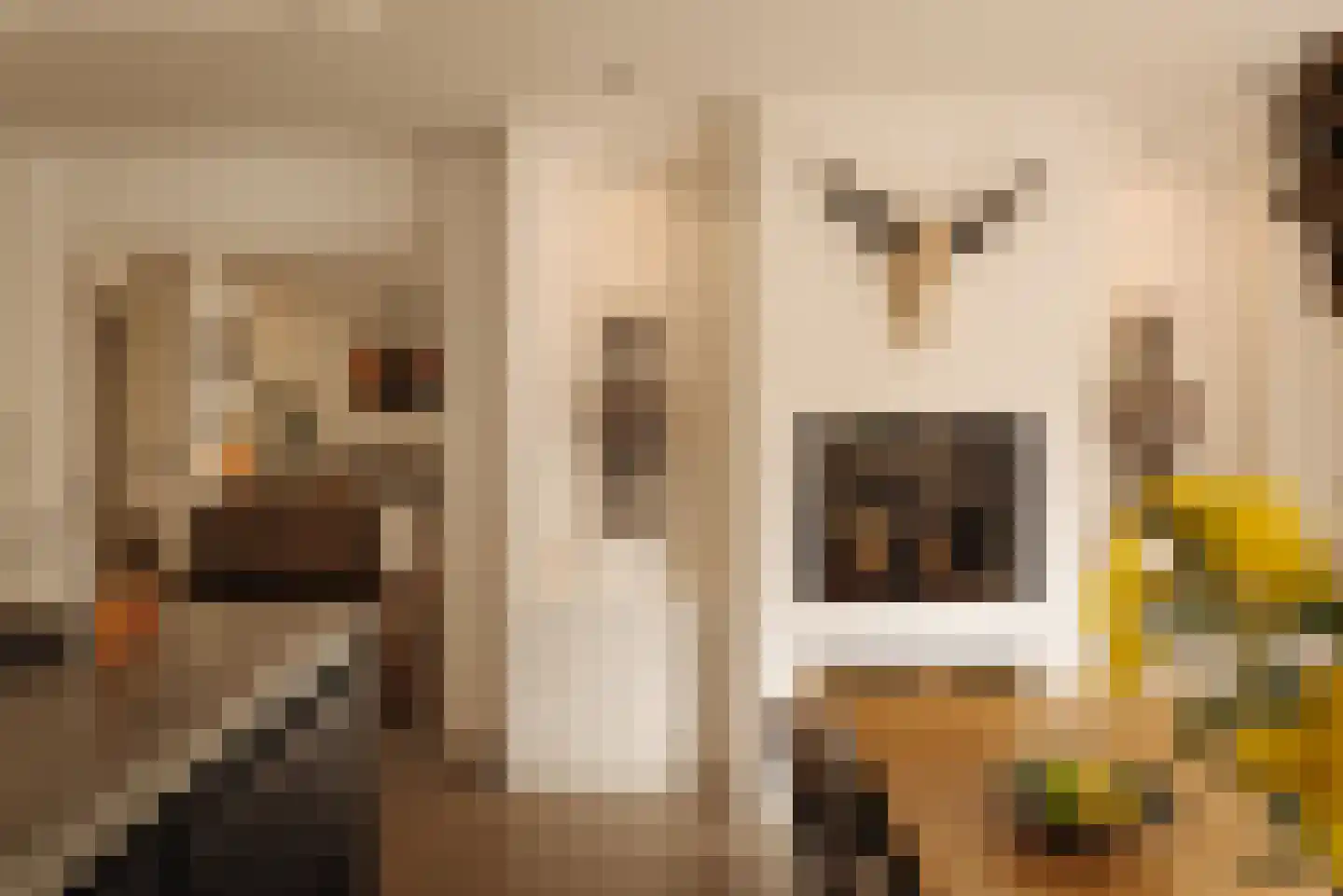 Angsteloord 73 Abcoude thumbnail 10