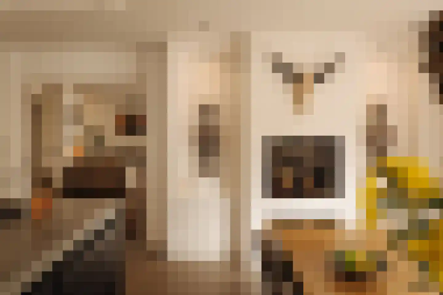Angsteloord 73 Abcoude thumbnail 10