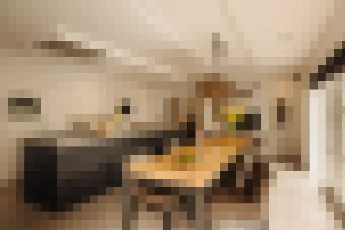 Angsteloord 73 Abcoude thumbnail 11