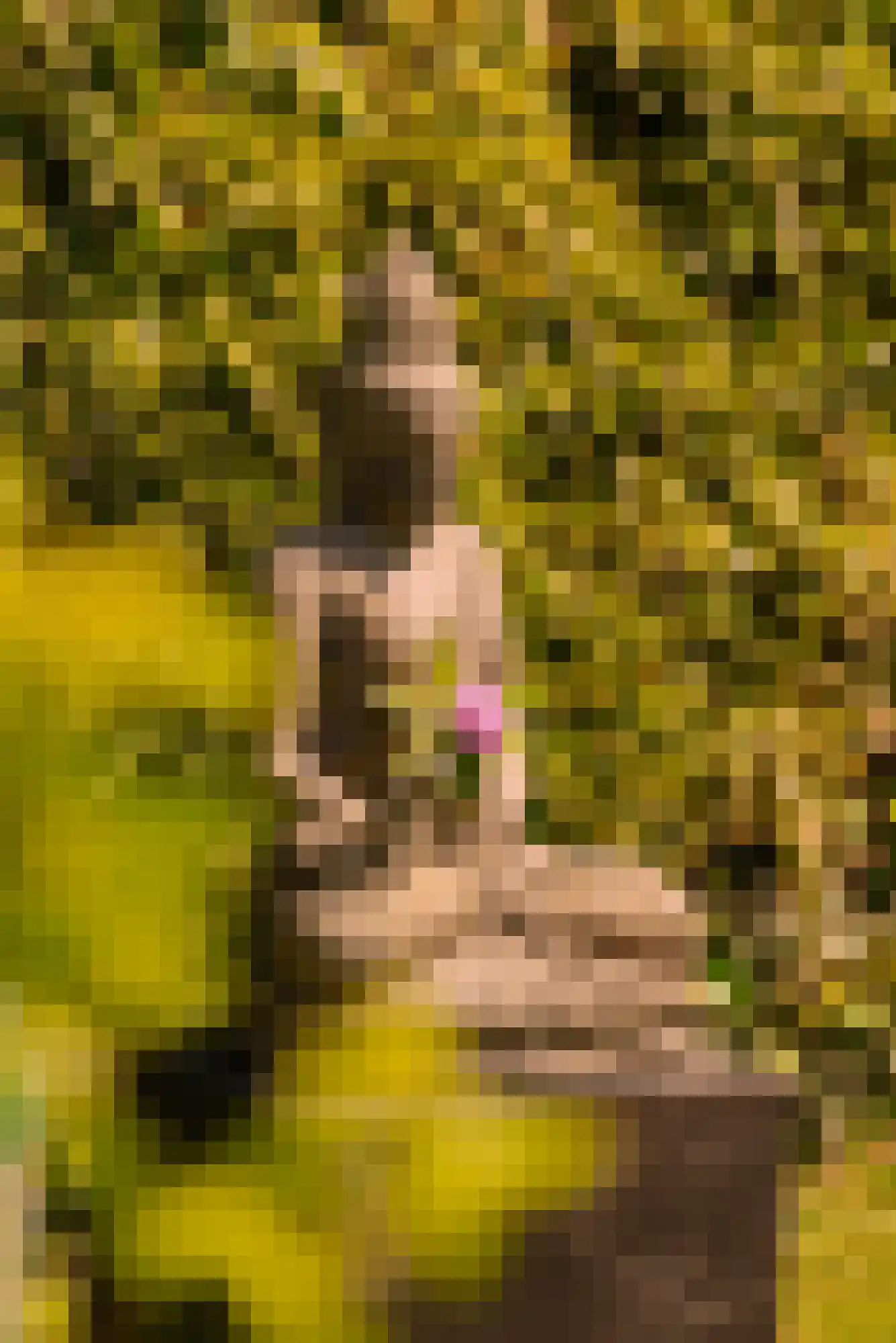 Angsteloord 73 Abcoude thumbnail 18