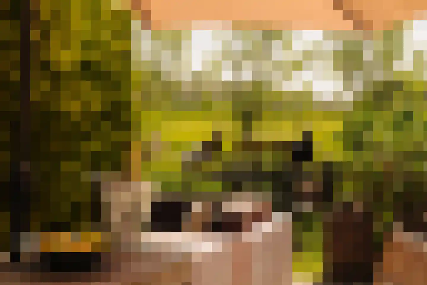 Angsteloord 73 Abcoude thumbnail 20