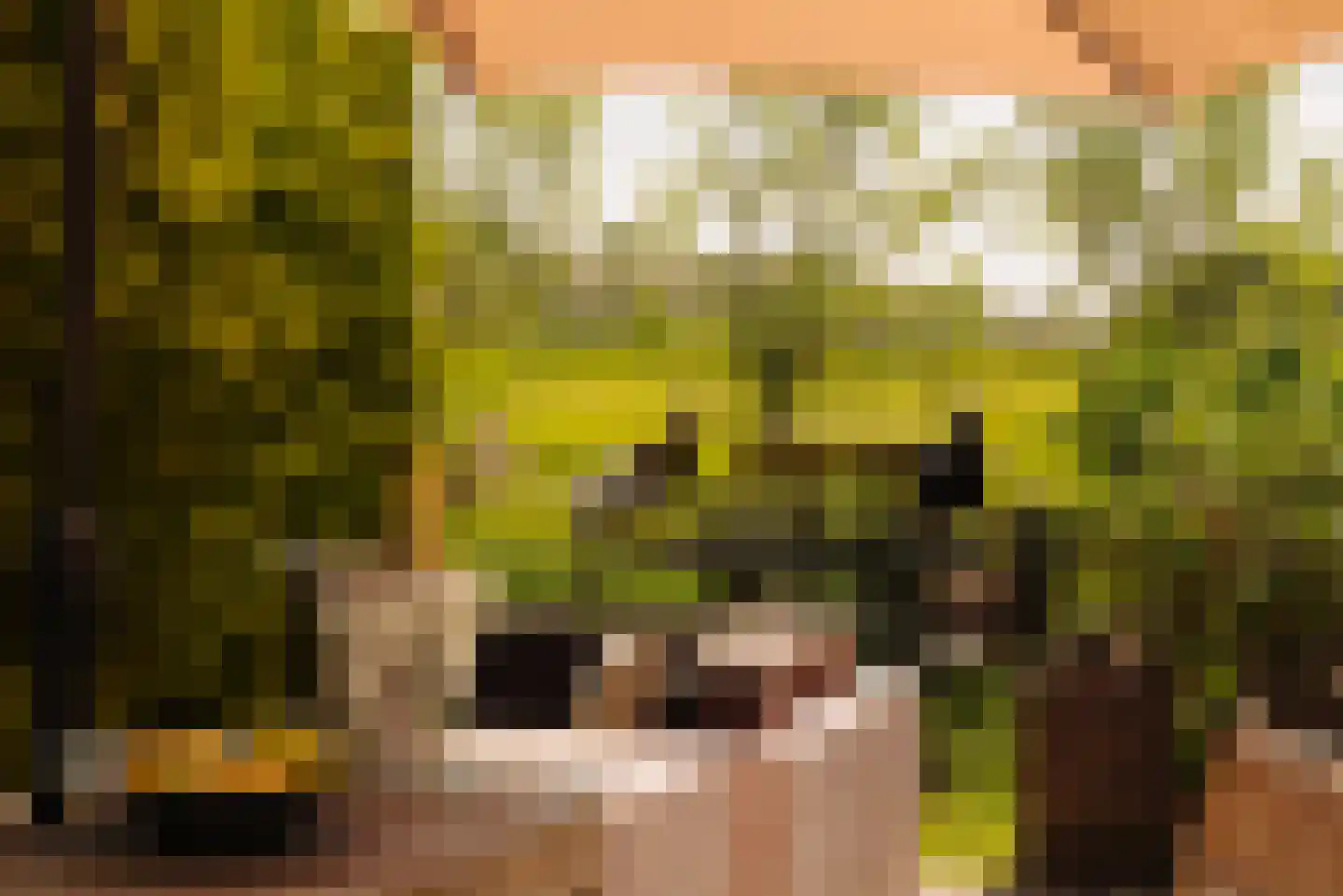 Angsteloord 73 Abcoude thumbnail 21