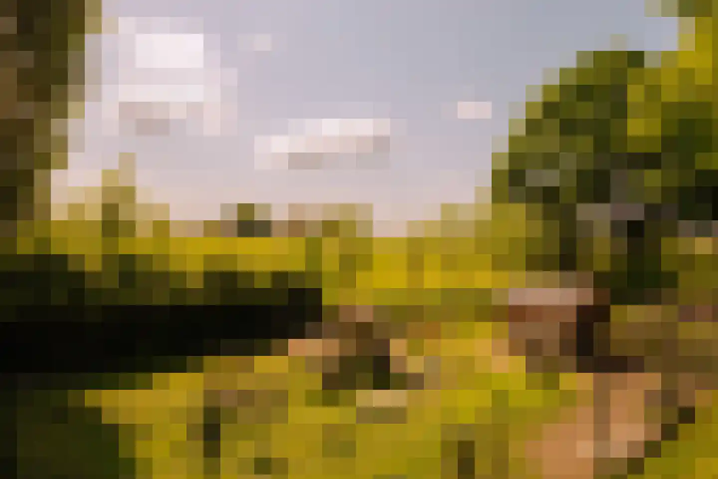 Angsteloord 73 Abcoude thumbnail 22