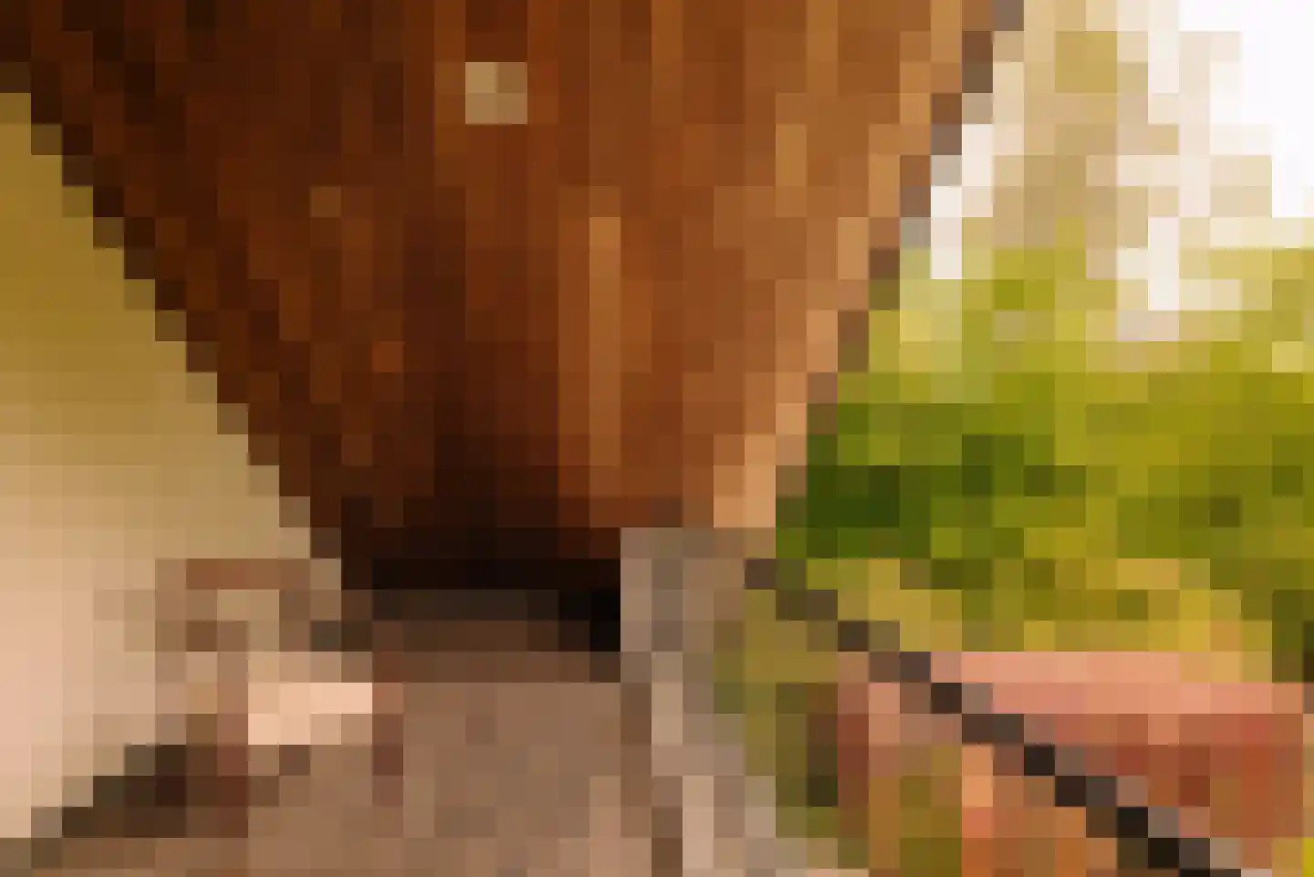 Angsteloord 73 Abcoude thumbnail 29
