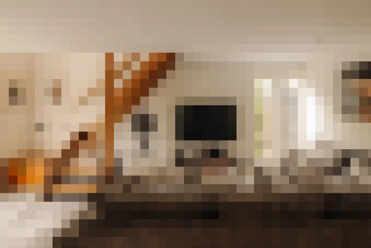 Angsteloord 73 Abcoude thumbnail 51