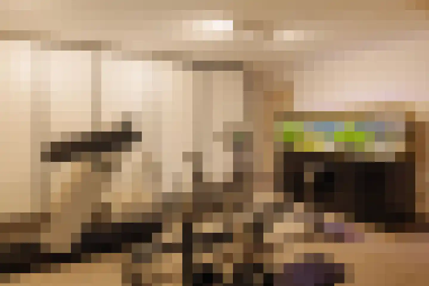 Angsteloord 73 Abcoude thumbnail 54
