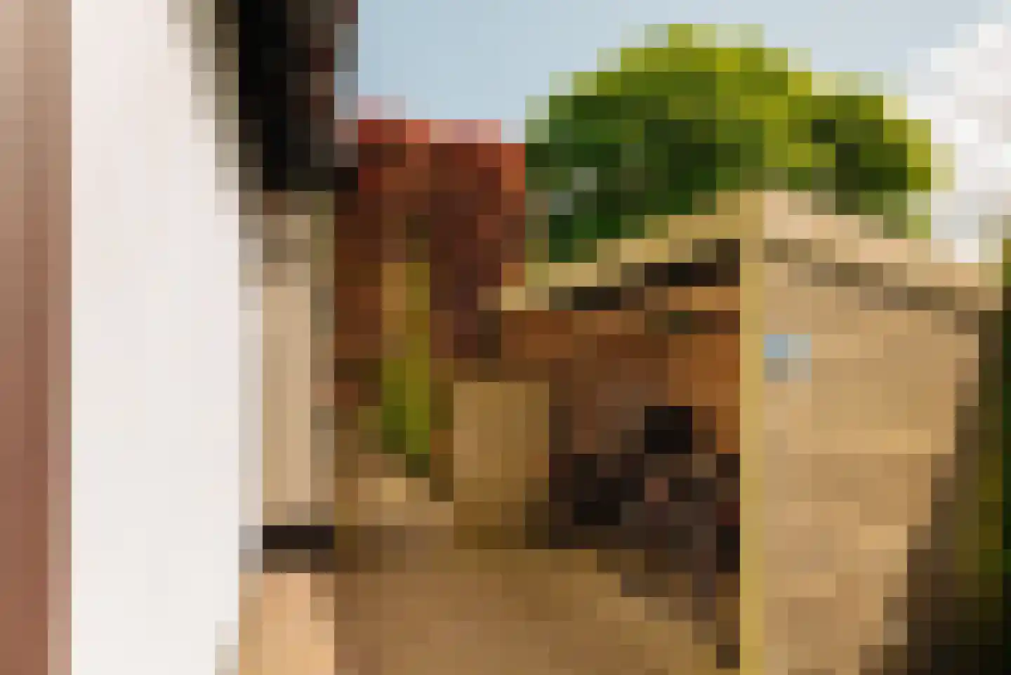 Angsteloord 73 Abcoude thumbnail 61
