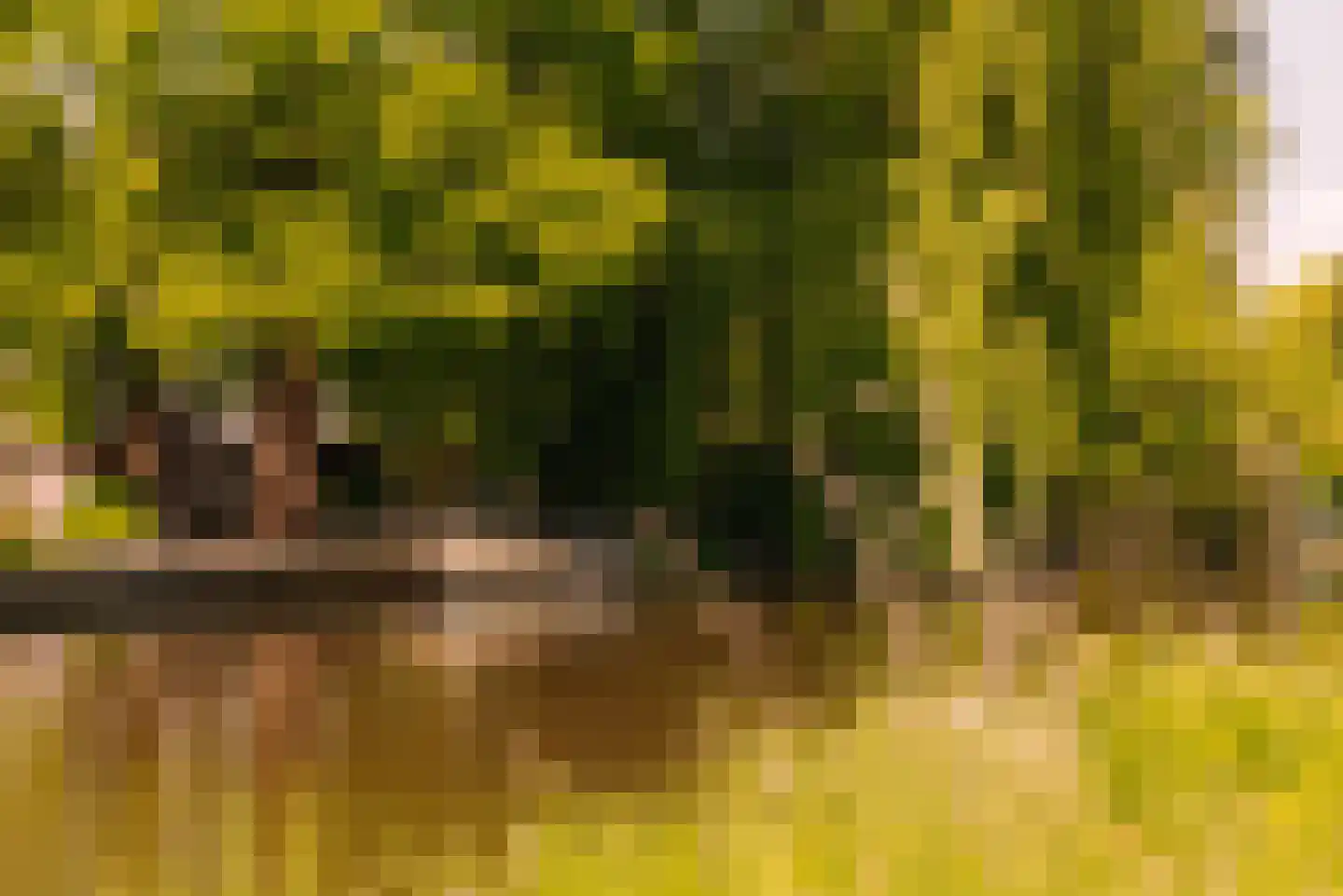 Angsteloord 73 Abcoude thumbnail 62