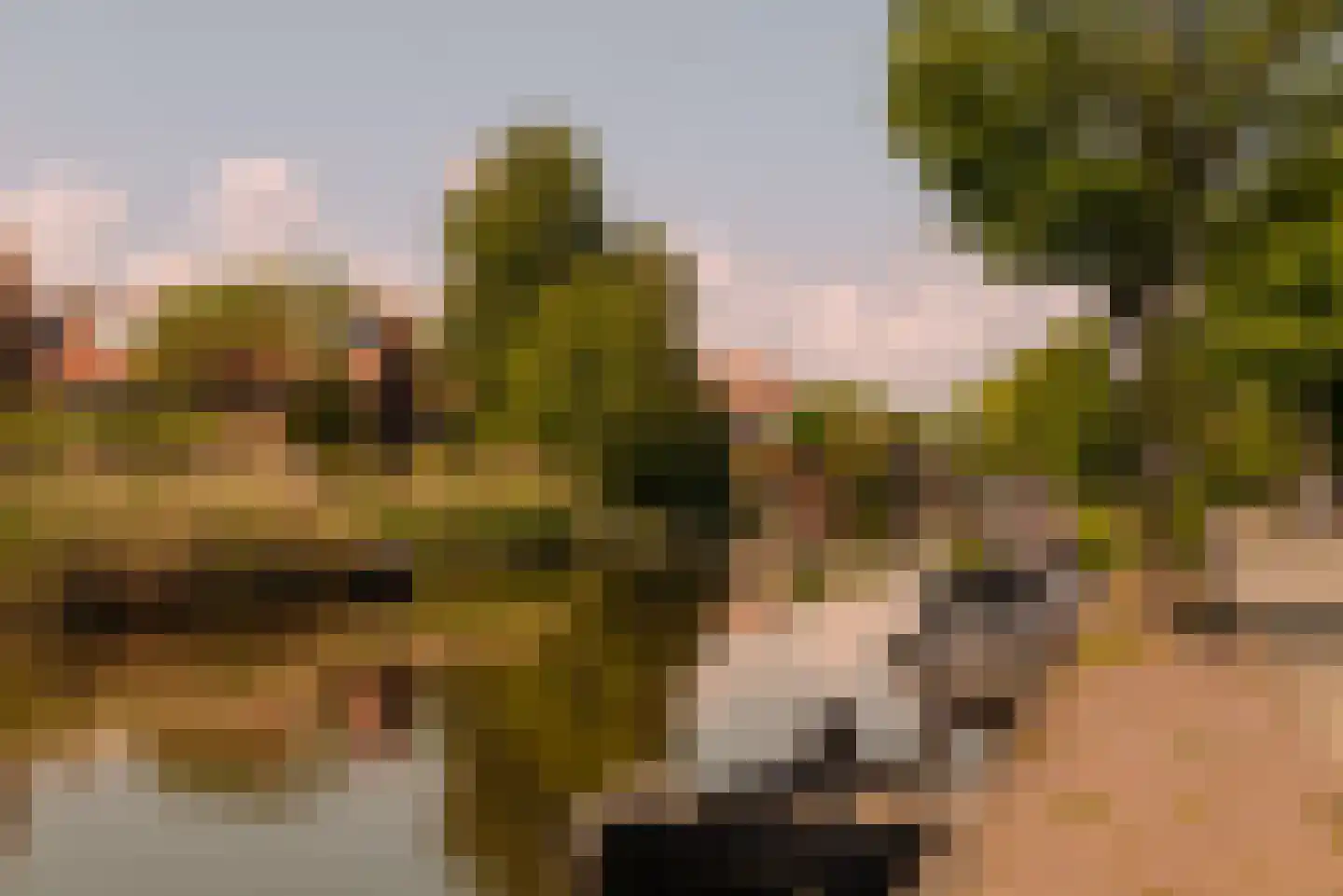 Angsteloord 73 Abcoude thumbnail 64