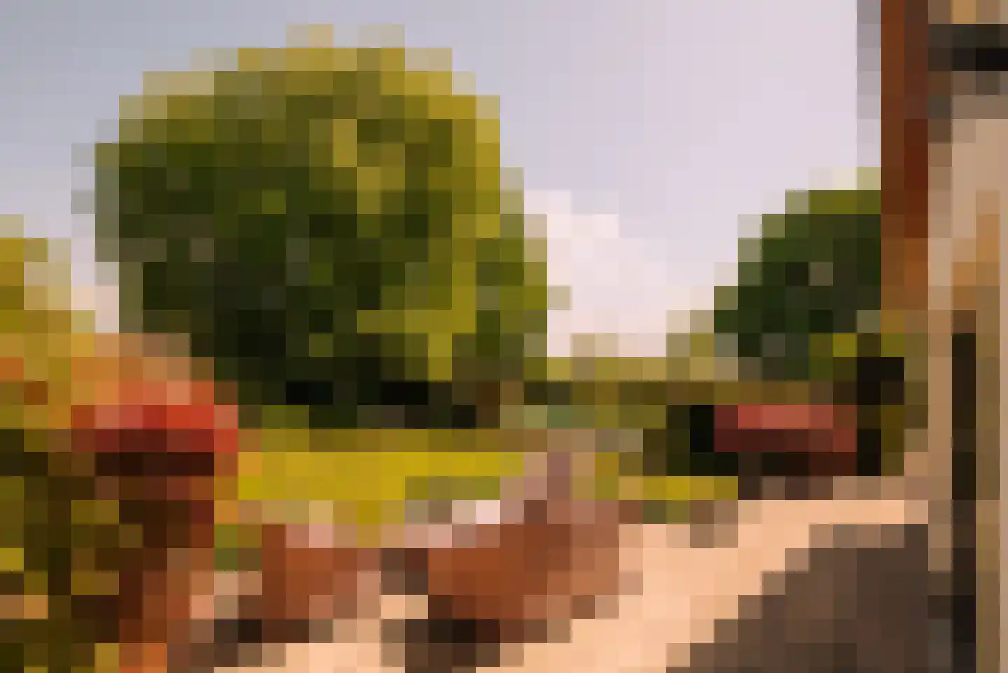 Angsteloord 73 Abcoude thumbnail 7