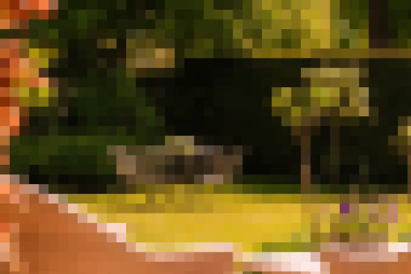 Angsteloord 73 Abcoude thumbnail 8