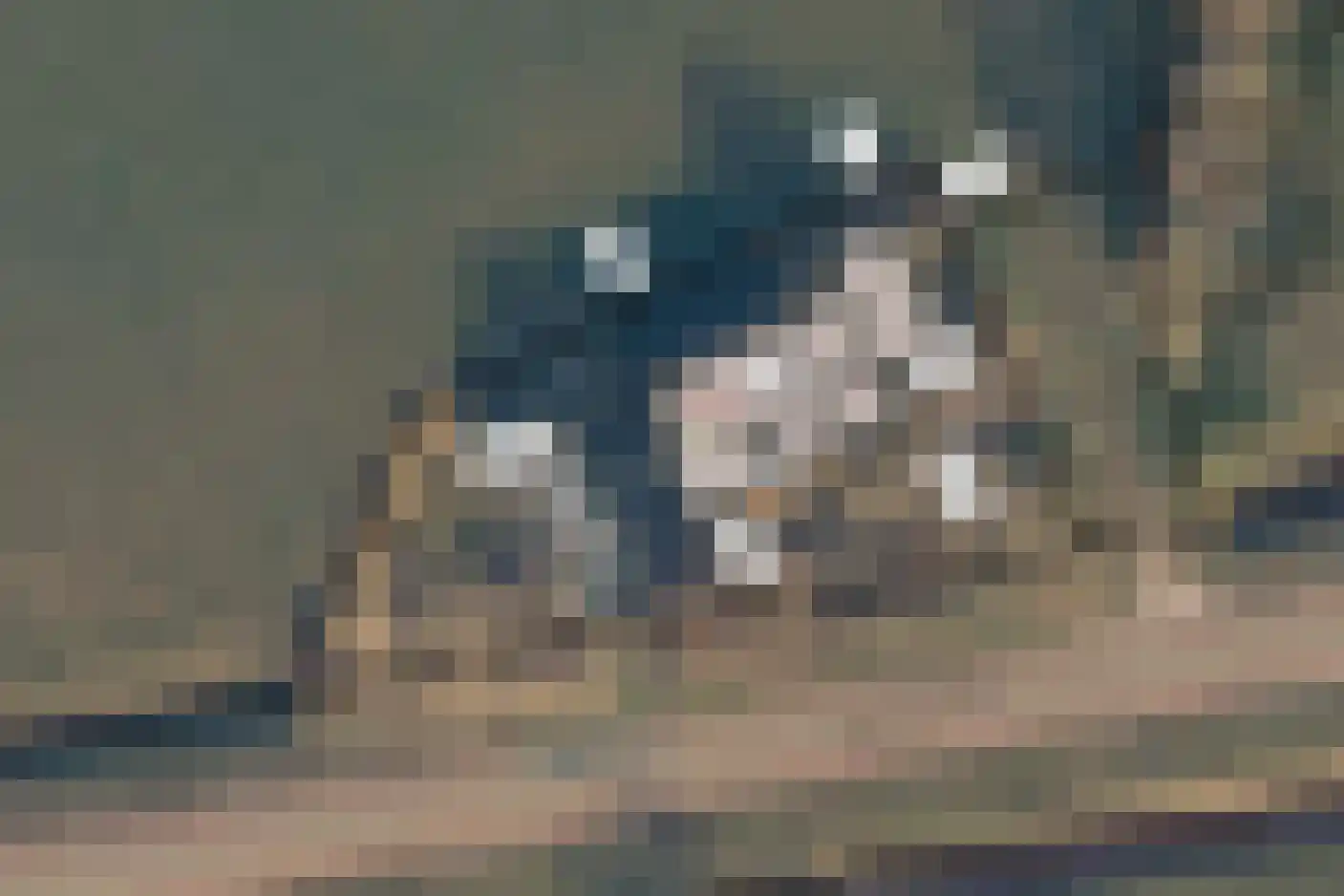 Angterperlaan 4 Parrega thumbnail 13