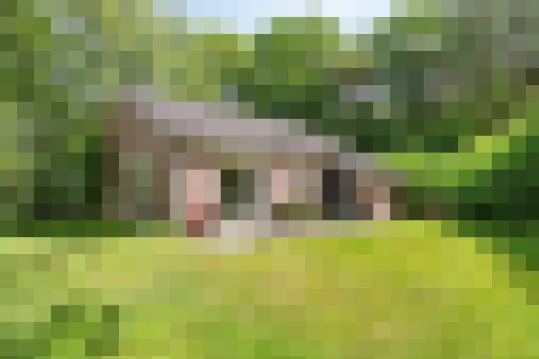 Anholt 11 42 Ruinen thumbnail 29