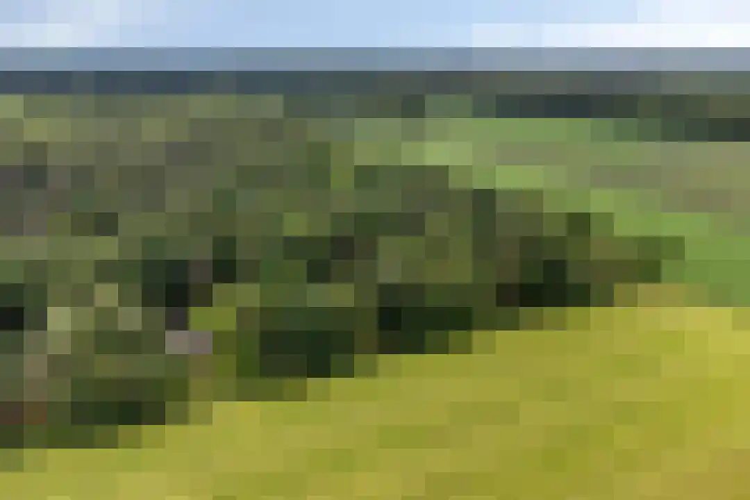 Anholt 11 42 Ruinen thumbnail 35