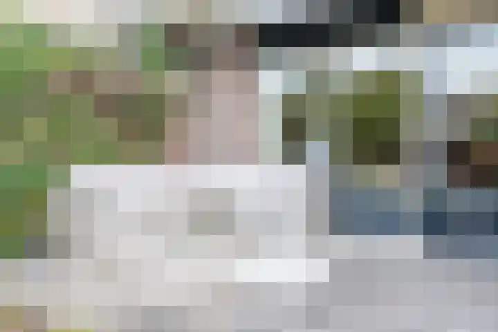 Anholt 3 Ruinen thumbnail 10