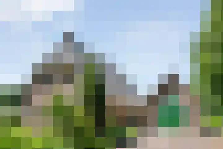 Anholt 3 Ruinen thumbnail 12