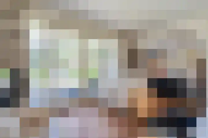 Anholt 3 Ruinen thumbnail 21