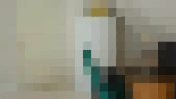 Anholt 3 Ruinen thumbnail 32