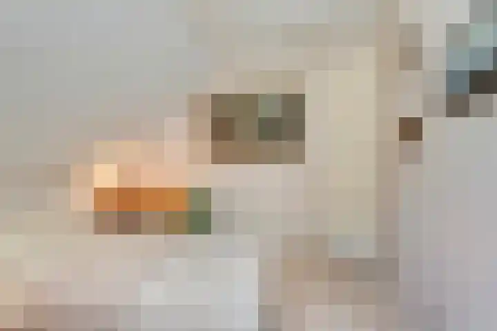 Anholt 3 Ruinen thumbnail 34