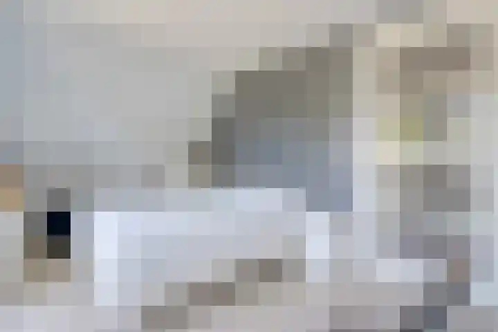 Anholt 3 Ruinen thumbnail 36