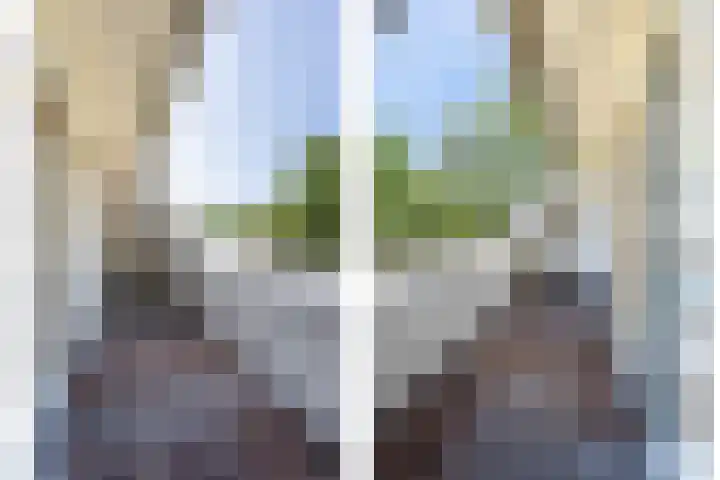 Anholt 3 Ruinen thumbnail 39