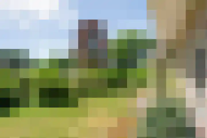 Anholt 3 Ruinen thumbnail 47
