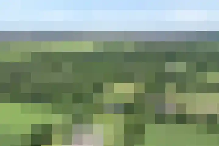 Anholt 3 Ruinen thumbnail 5