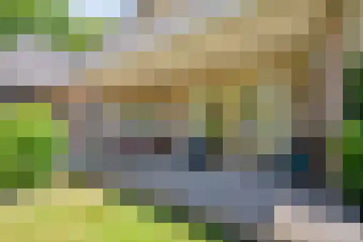 Anholt 3 Ruinen thumbnail 50