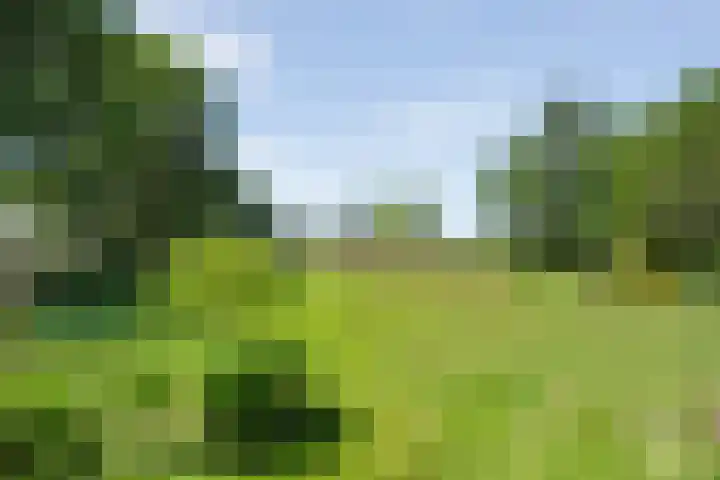 Anholt 3 Ruinen thumbnail 51