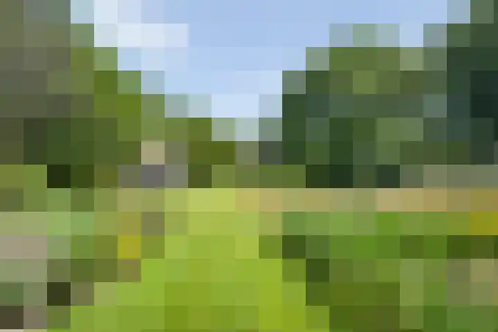 Anholt 3 Ruinen thumbnail 52