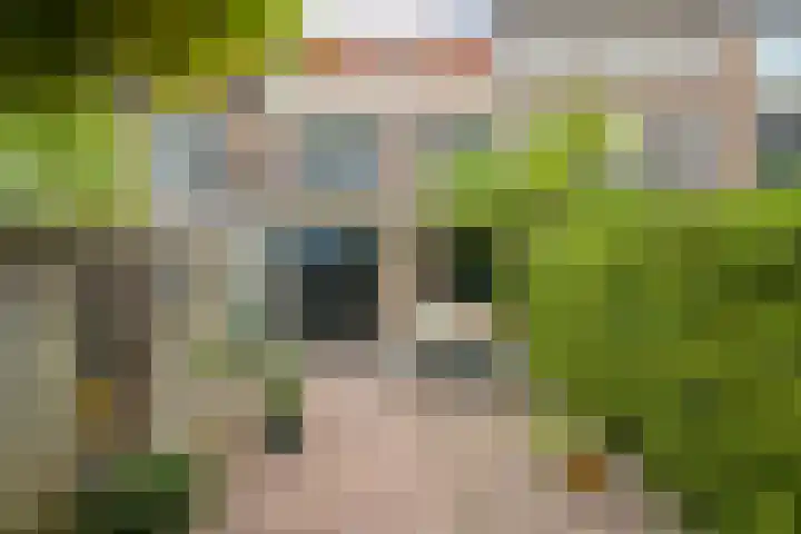 Anholt 3 Ruinen thumbnail 56