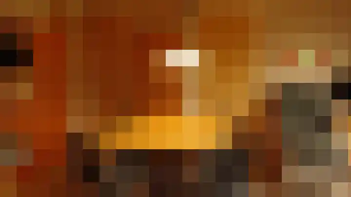 Anholt 3 Ruinen thumbnail 59