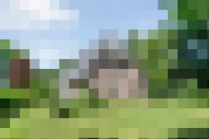 Anholt 3 Ruinen thumbnail 6