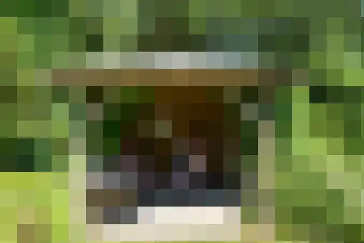 Anholt 3 Ruinen thumbnail 64