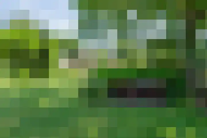 Anholt 3 Ruinen thumbnail 65