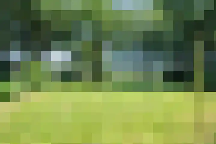 Anholt 3 Ruinen thumbnail 67