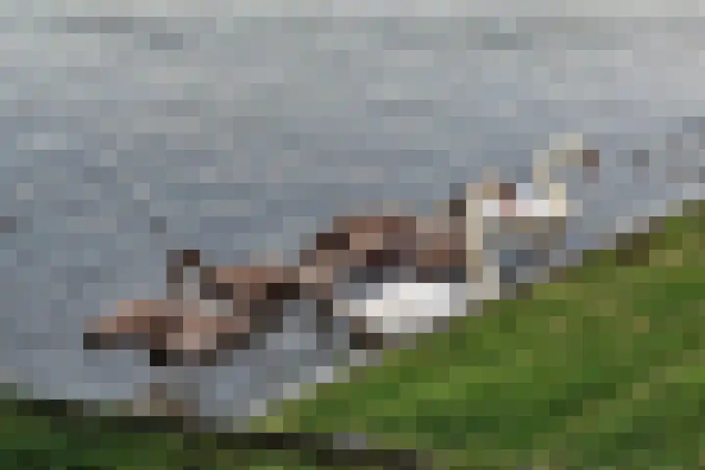 Anholt 30 Blauwestad thumbnail 66