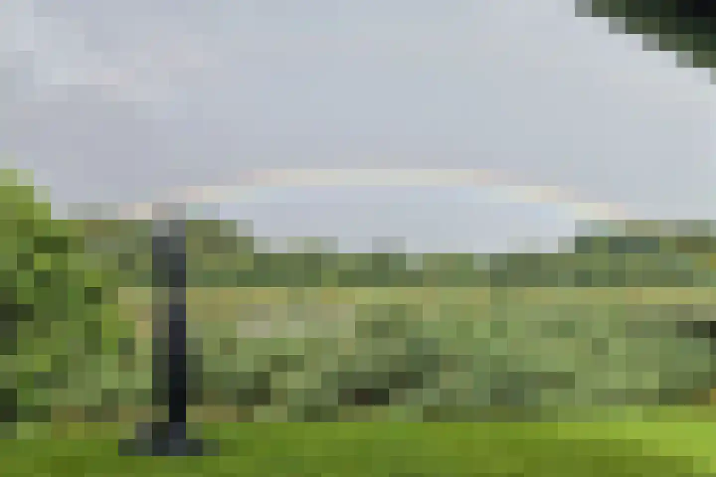 Anholt 30 Blauwestad thumbnail 69