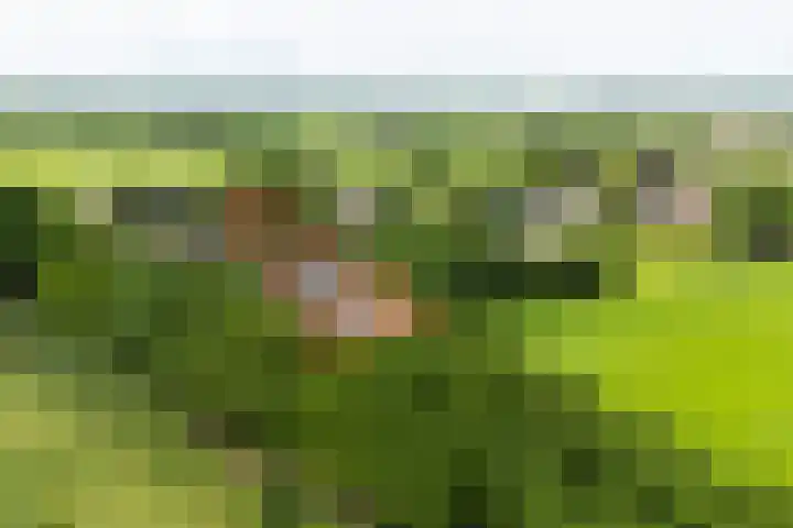 Anholtseweg 49 in Gendringen